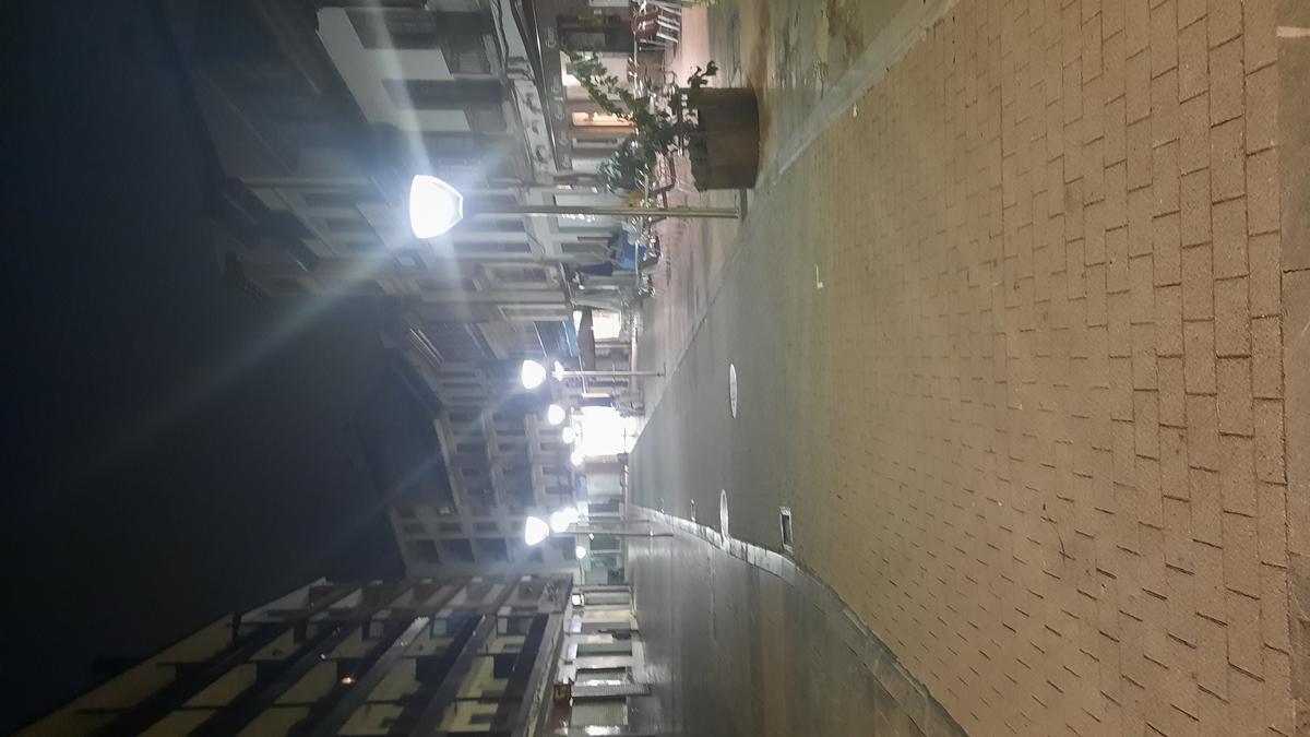 Imagen nocturna de la calle Manuel Pedregal.