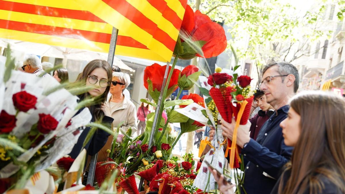 Les flors de Sant Jordi