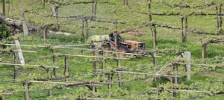 Las bodegas inciden en la reducción de fitosanitarios
