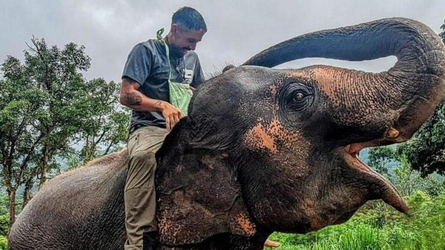 Pablo Alonso, subido a una elefanta en Tailandia.