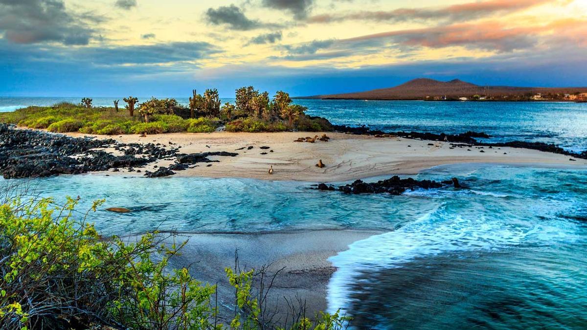 Islas Galápagos, biodiversidad y exotismo en Ecuador