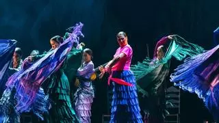 El Festival de Fado y Flamenco quiere atraer a los jóvenes la próxima edición