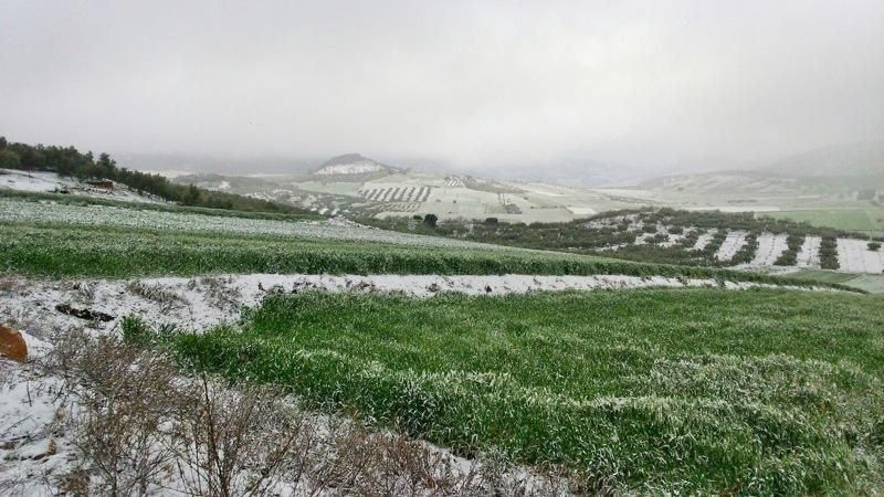 Alfarnate bajo un manto de nieve.