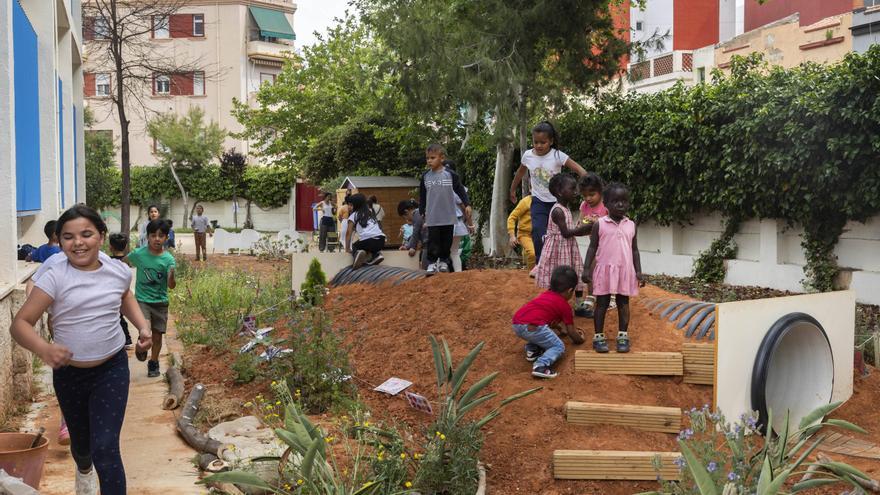 Pla Verd Escolar de València: Patis més naturals, patis més educatius