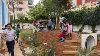 Pla Verd Escolar de València: Patis més naturals, patis més educatius
