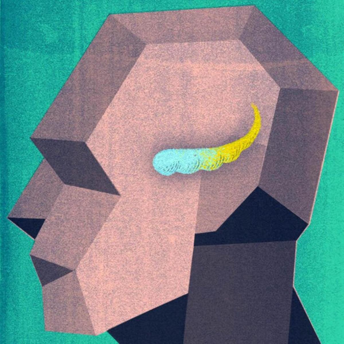 Diferentes genes regulan la cognición y el estado de ánimo en el hipocampo