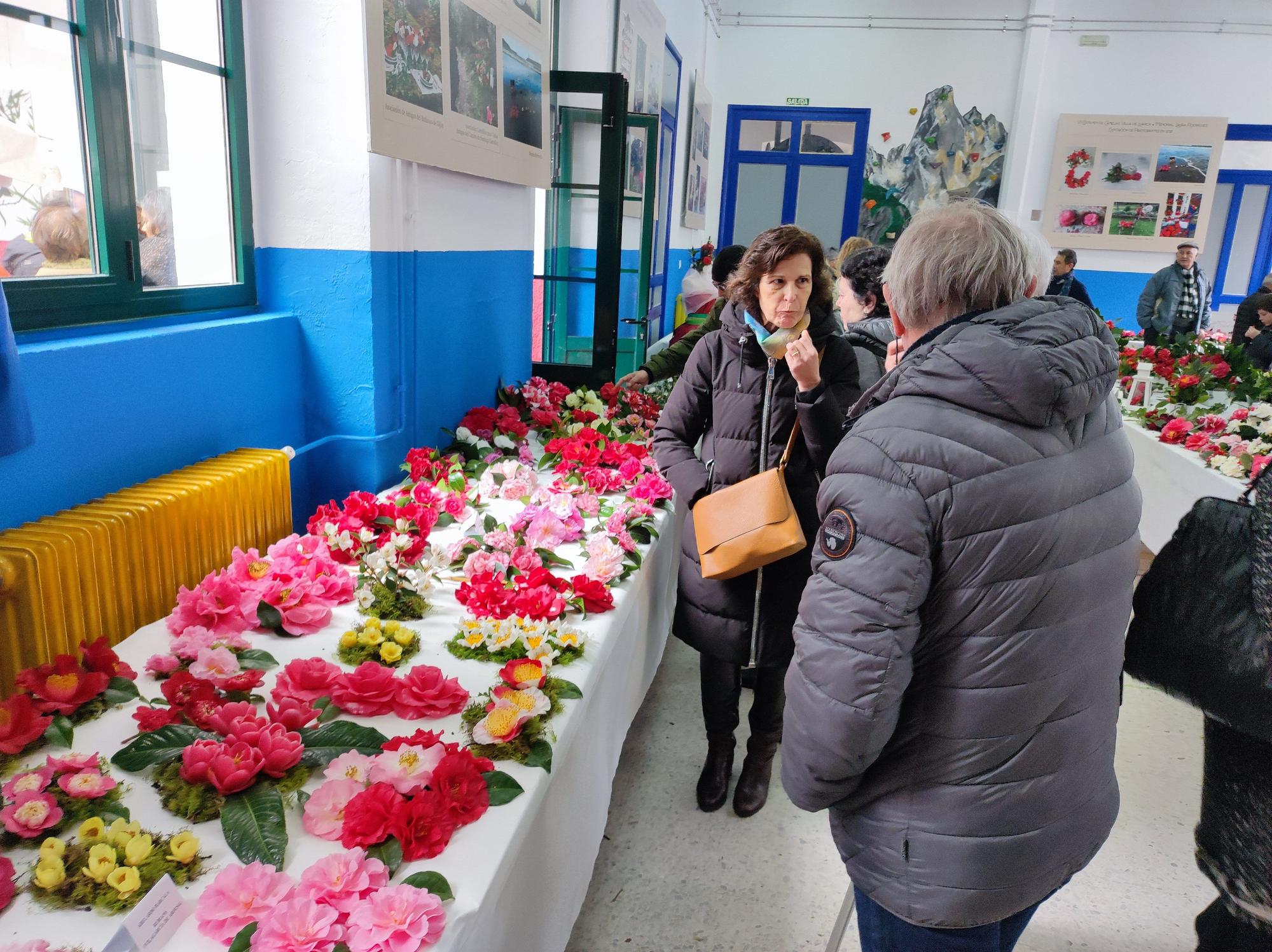 Las camelias llenan de color el colegio Padre Galo, de Luarca