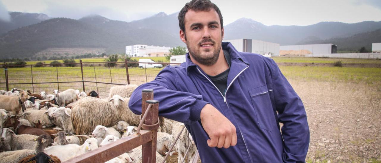 Miguel Juan Bernabéu: «Los terrenos del Consell son de todos y además prevenimos incendios»