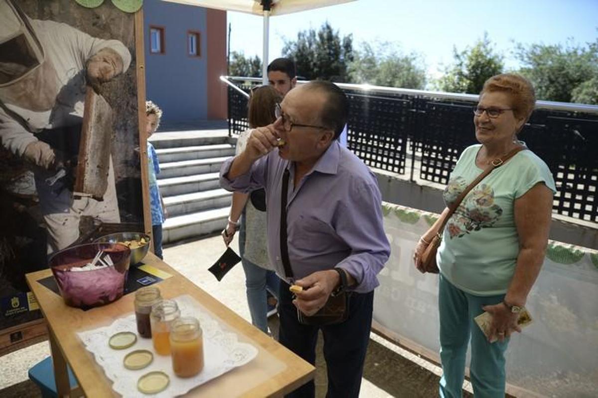 FIESTA DEL QUESO MONTAÑA ALTA FIESTA DEL QUESO MONTAÑA ALTA