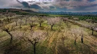 Orihuela rechaza la planta solar que atravesaría Torremendo y seis municipios con un tendido de alta tensión