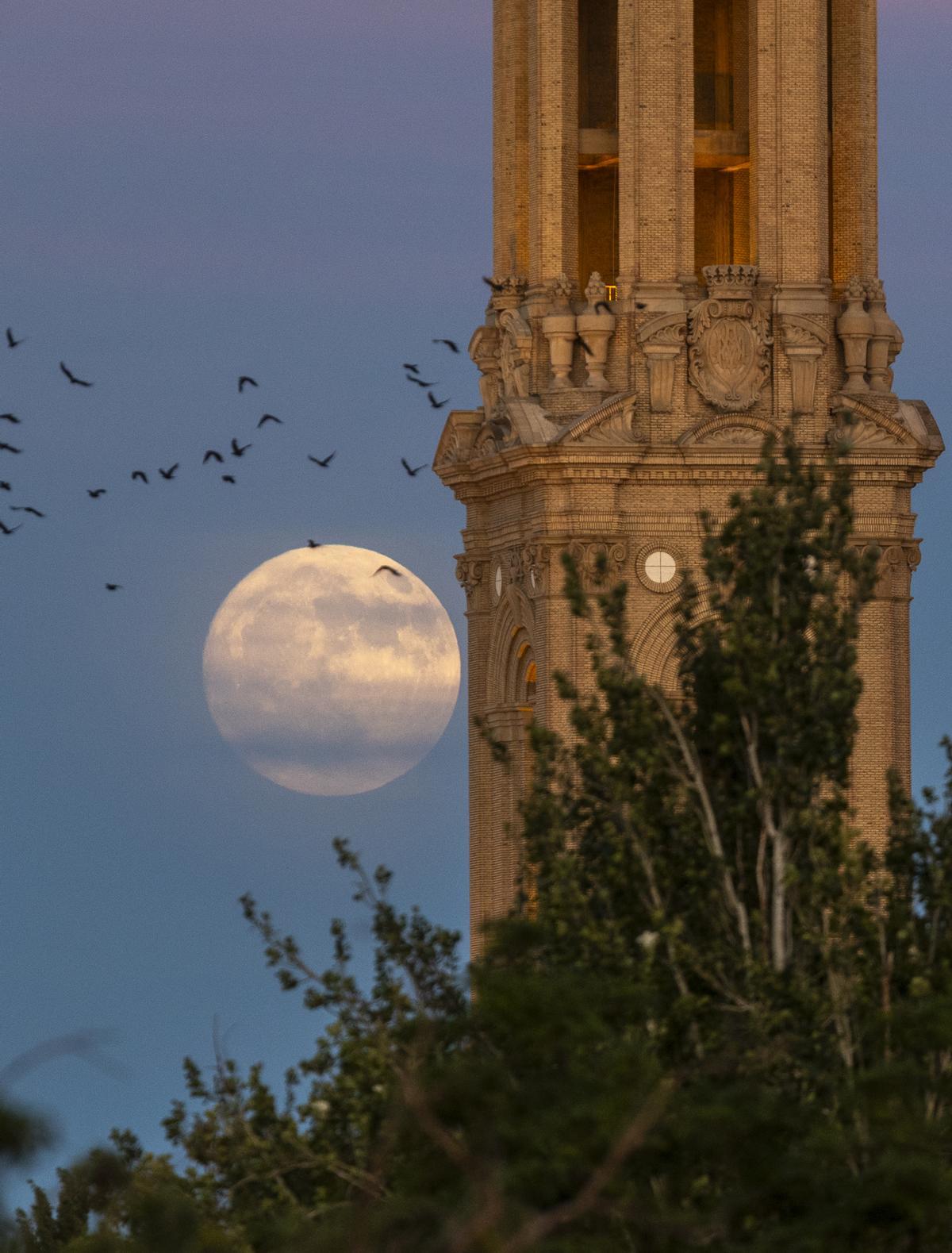 La Superluna de ciervo, vista desde Zaragoza