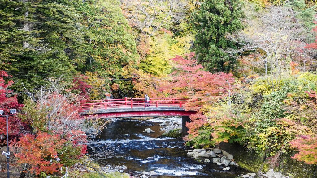 Momiji en el Monte Nakano