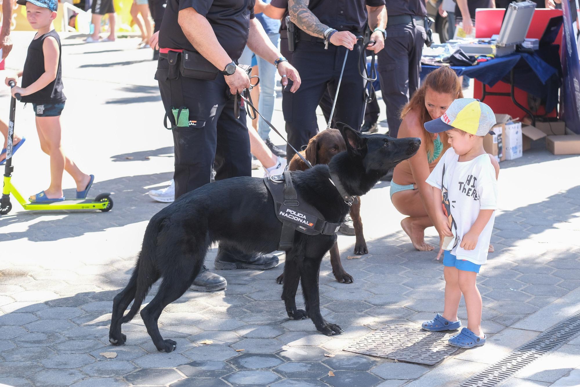 Así ha sido la exposición de medios de la Policía Nacional en Benidorm