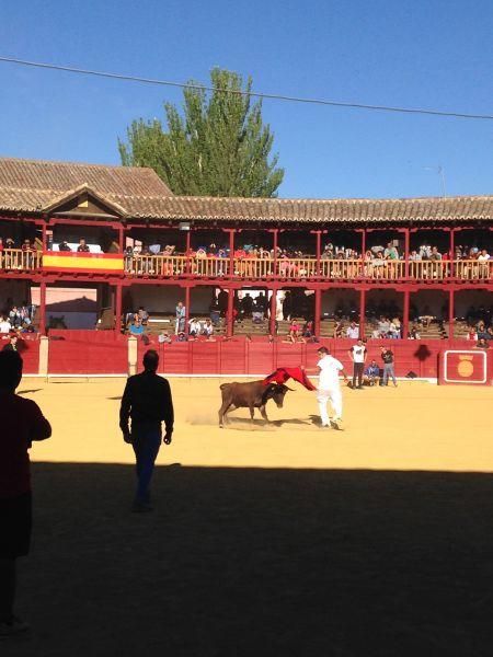 Toro de cajón y encierro urbano en Toro