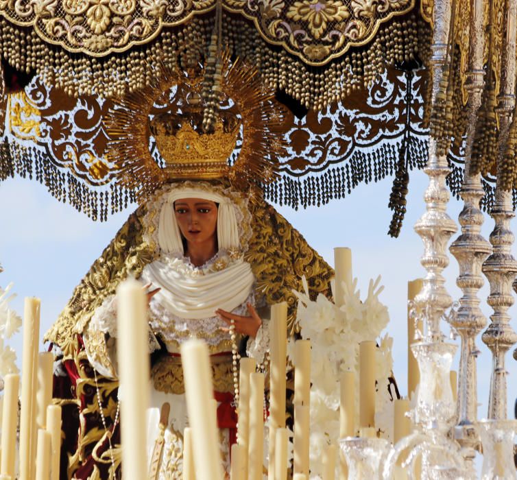 Domingo de Ramos | Salud