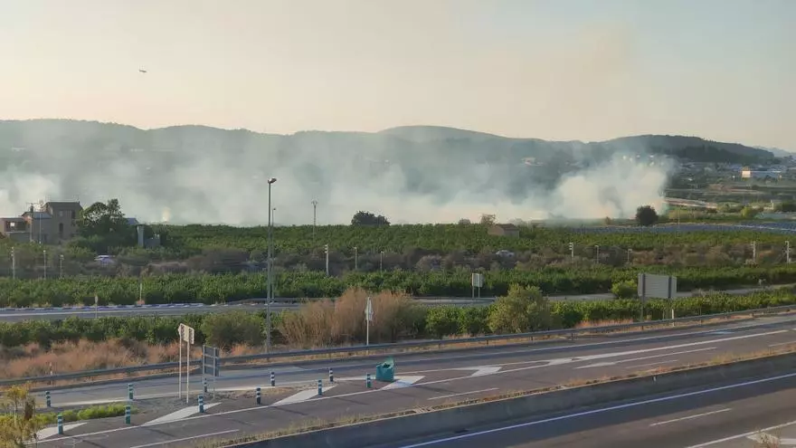 Incendio en una zona de cañar de Annauir