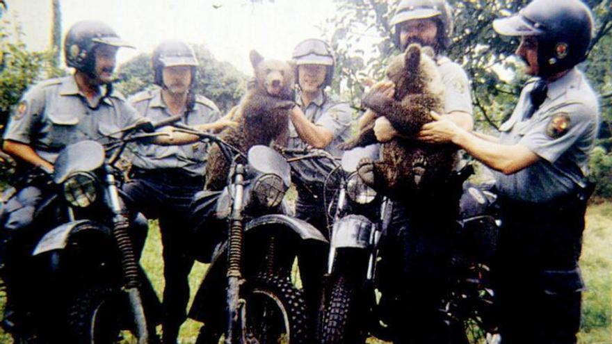 La historia de las osas &quot;Paca&quot; y &quot;Tola&quot;: así fue el rescate que las convirtió en un símbolo de la recuperación de la especie