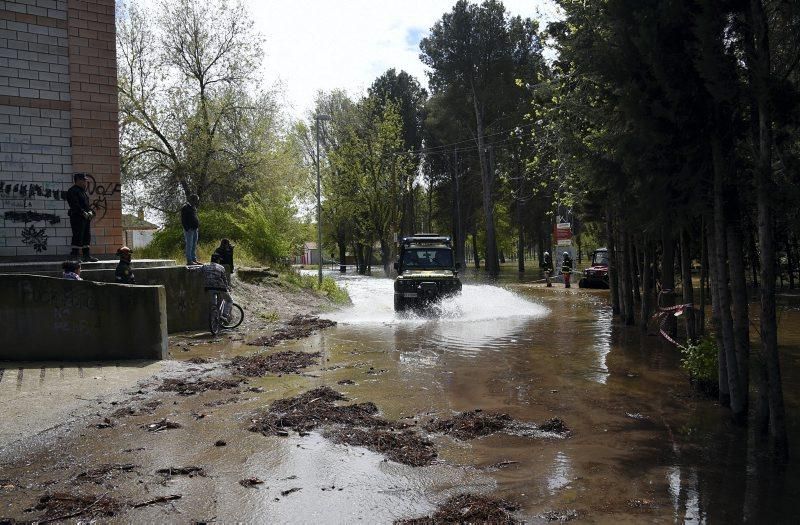 Impresionantes imágenes de la crecida del rio en Gelsa, Pinta y Quinto de Ebro