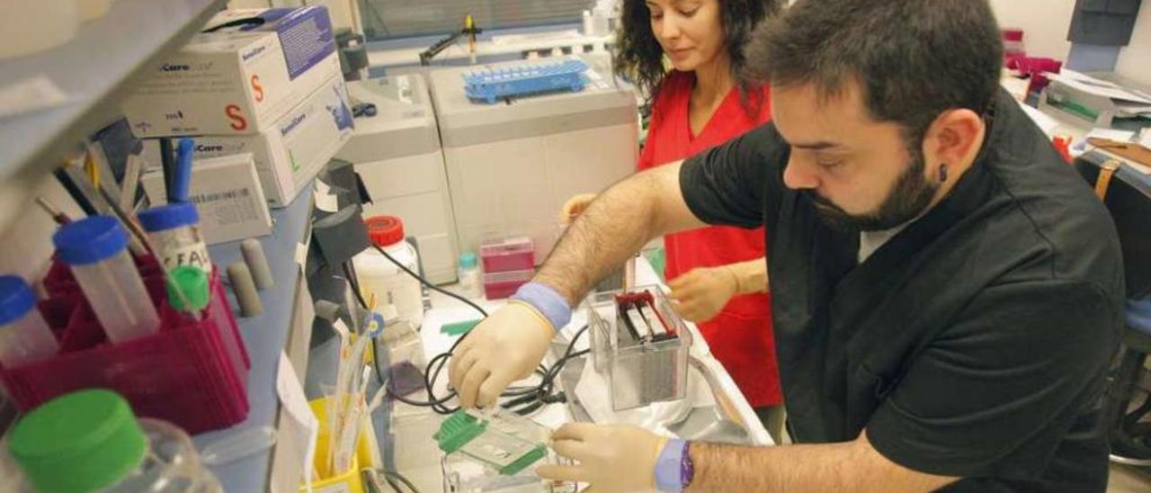 Miembros del Hospital Clínico de Santiago trabajando en un fármaro de regeneración muscular. // X. A.