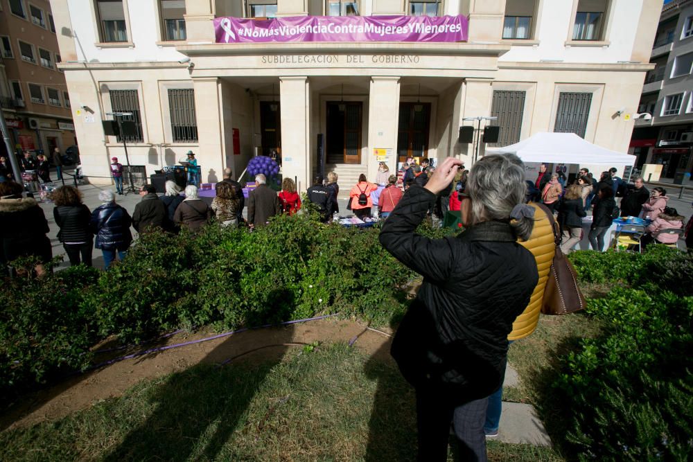 La Diputación de Alicante celebra la convivencia entre valenciano y castellano