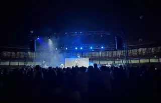 Toro vibra al ritmo del festival "Wild Life"