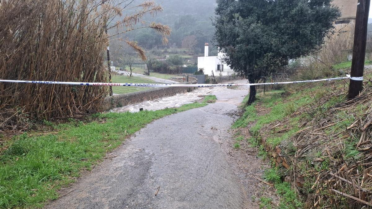 Les fotos dels efectes de la llevantada a les comarques gironines