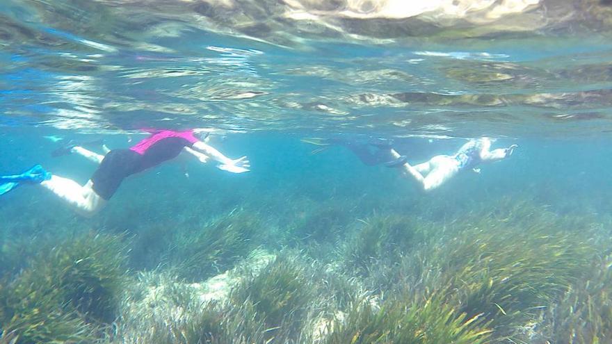 Un recorrido gratuito por el fondo marino del Puerto de Mazarrón