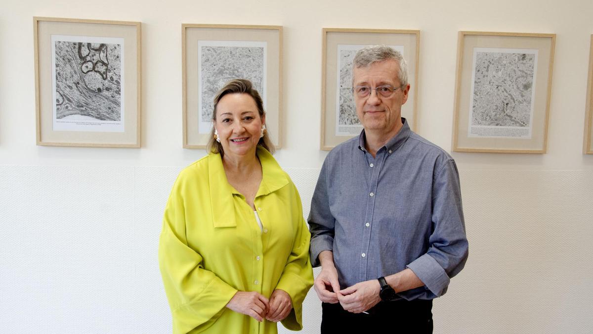 Los investigadores Ángela Nieto y Joan Garcelán, en el Instituto de Neurociencias