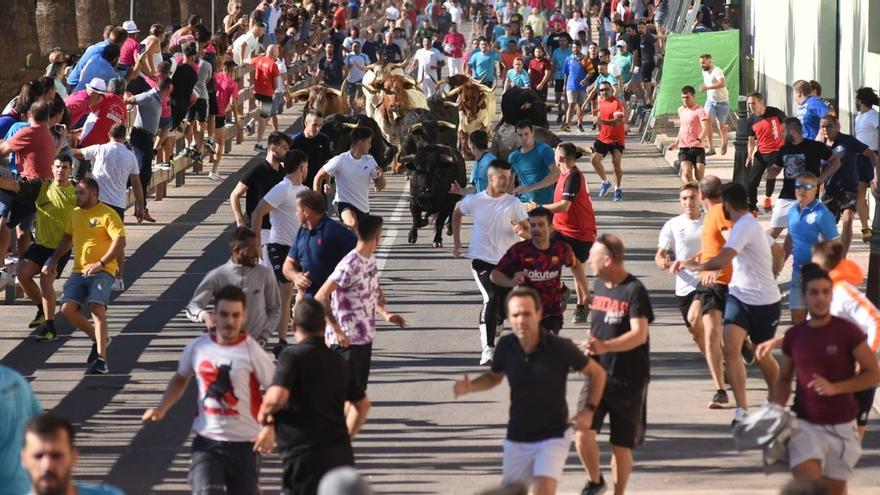 Cintos de aficionados se han dado cita en el encierro de cerriles de Vall d&#039;Alba.