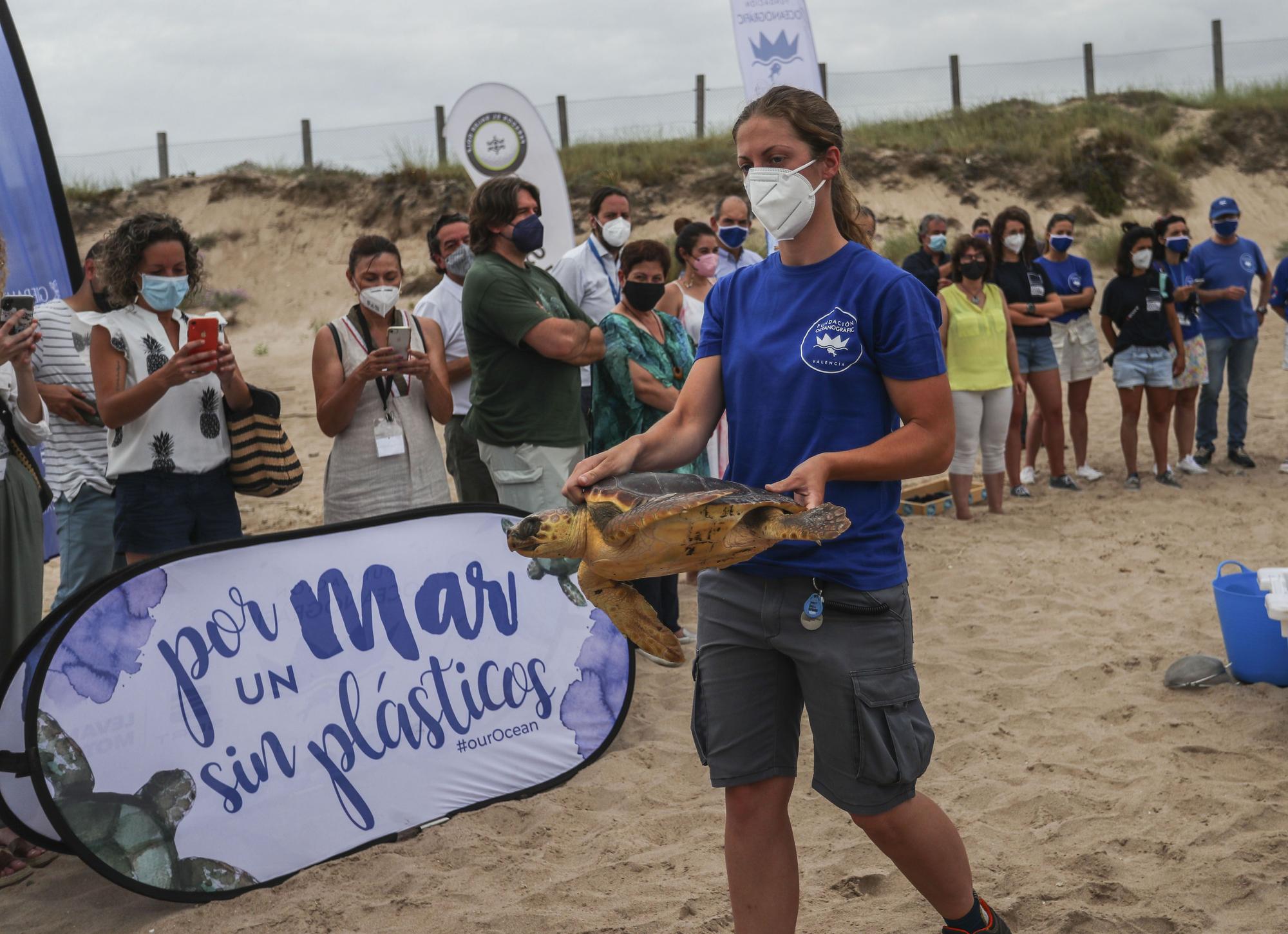 Liberación de tortugas marinas en el Parador de El Saler