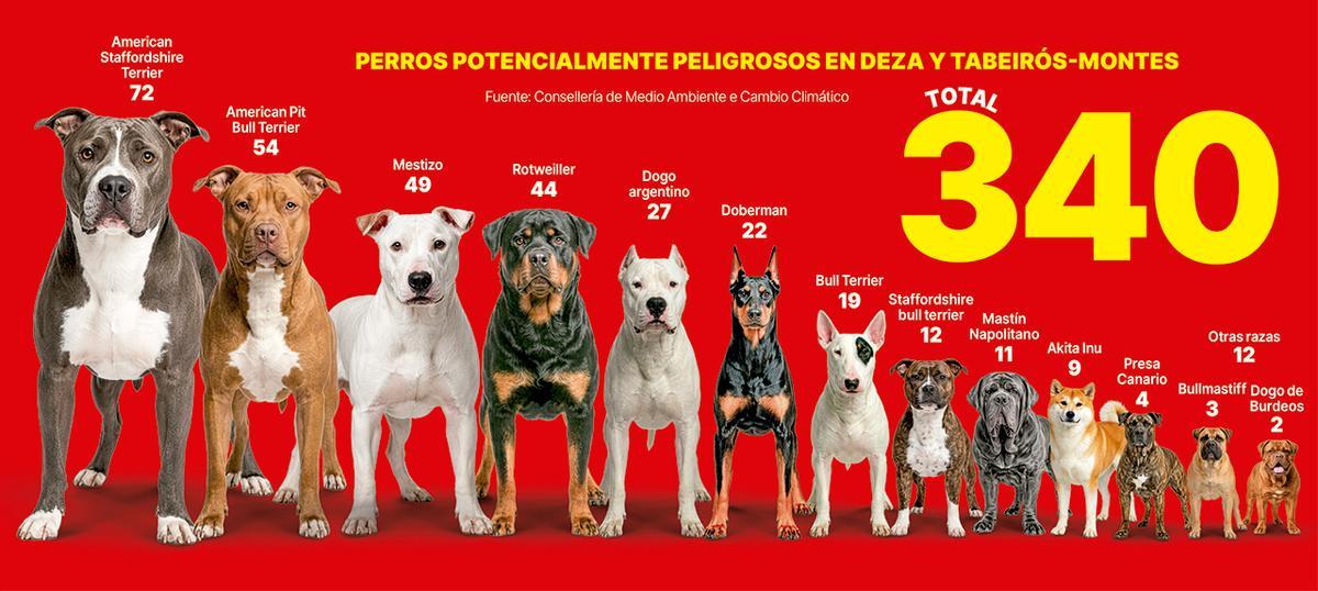 Perros potencialmente peligrosos en Deza y Tabeirós-Montes