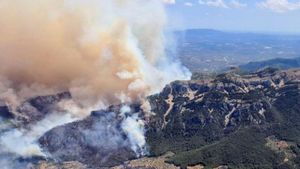 Un incendi al Baix Ebre crema 570 hectàrees, el 90% als Ports