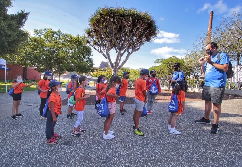 La Escuela Abierta de Verano ?Yo Soy Taco? inicia su sexta edición adaptada a la nueva normalidad | 12/08/2020  | 12/08/2020 | Fotógrafo: María Pisaca Gámez