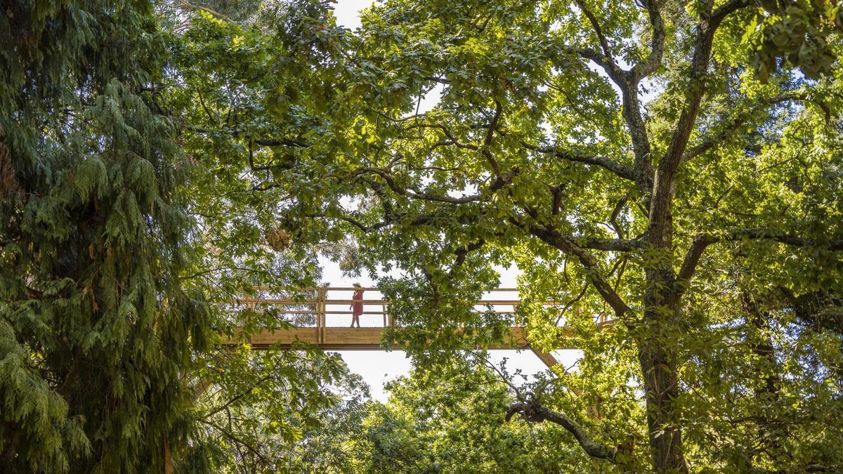 Vista del Treetop Walk de la Fundación Serralves.