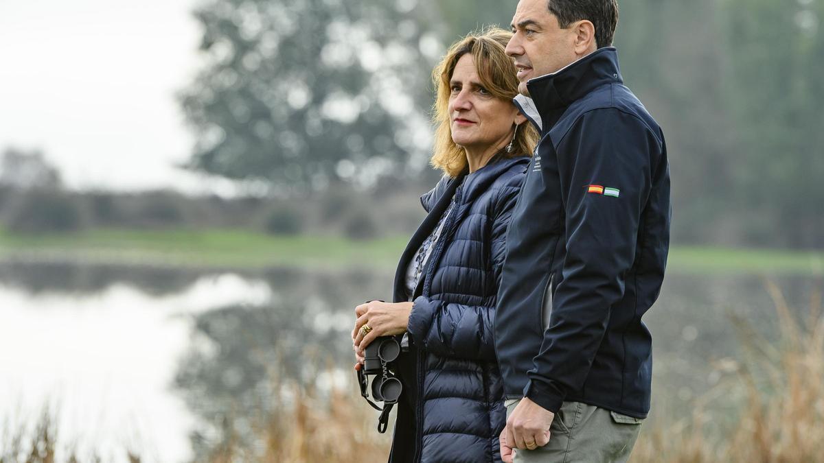 El presidente andaluz, Juan Manuel Moreno, y la vicepresidenta Teresa Ribera en Doñana antes de firmar el acuerdo por el Parque.