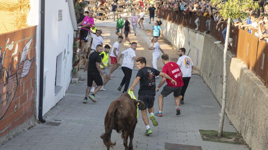 Vidreres celebra un «encierro» sense incidents i amb molta participació