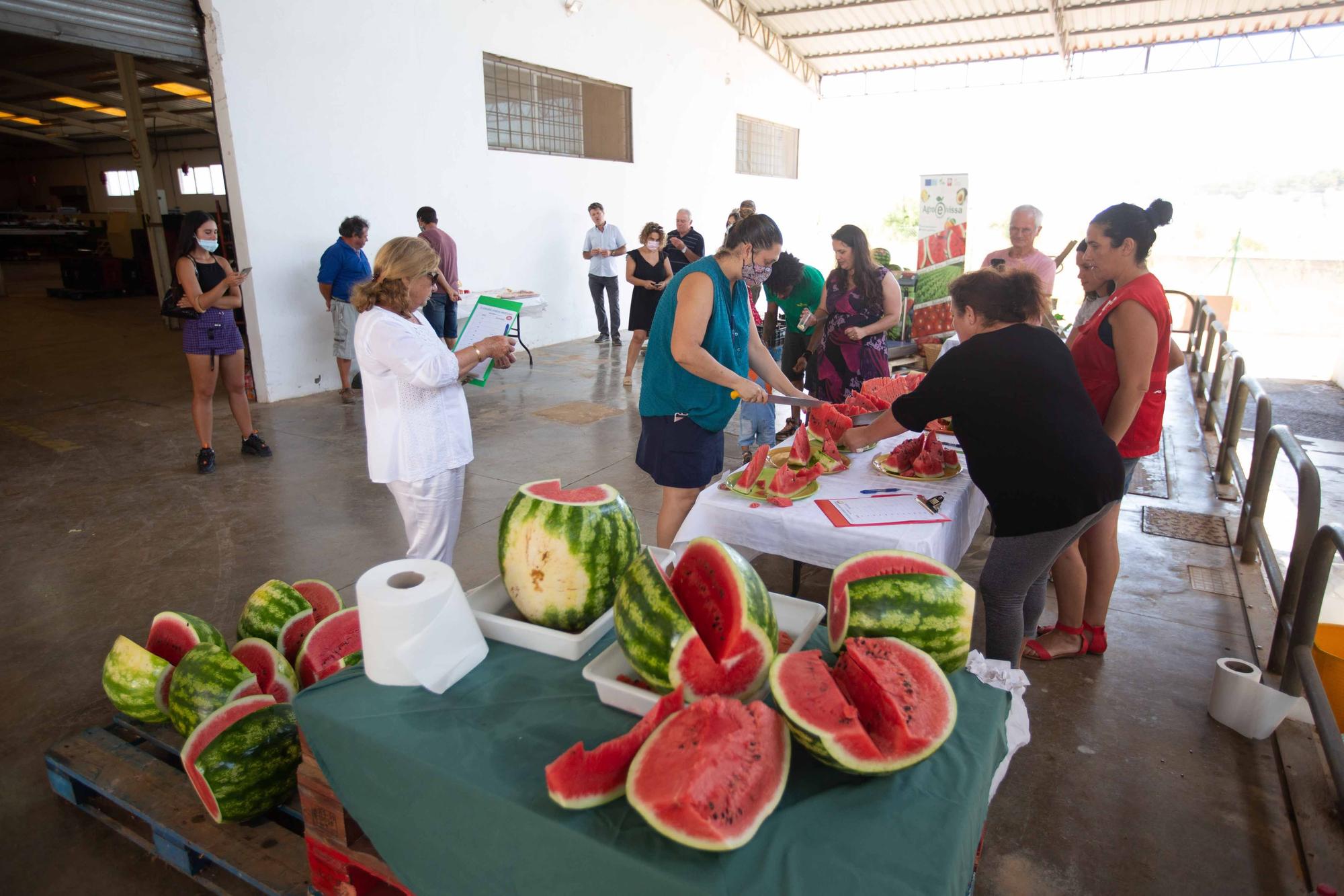 La ‘sandía más grande del mundo’ pesa 20 kilos y es de es Canar