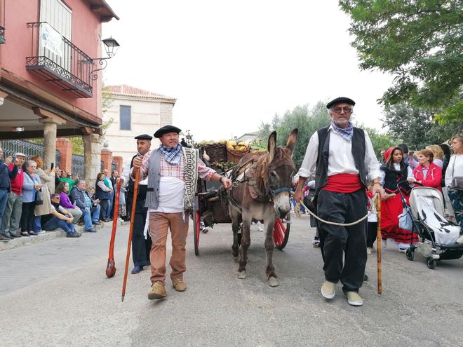 GALERÍA | Toro recrea la vendimia tradicional en el desfile de carros