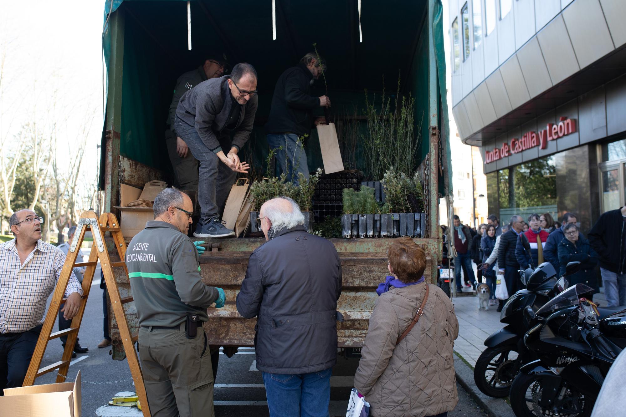 GALERÍA | Así celebra Zamora el Día del Árbol