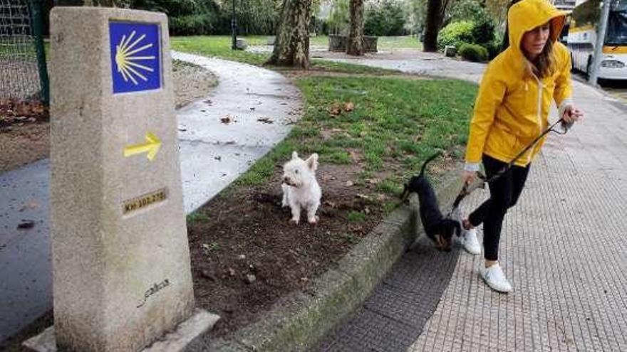 Uno de los pocos puntos ubicados en el área viguesa. // M. G. Brea