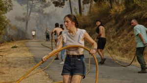 Un exèrcit de joves  contra el foc de Larouco