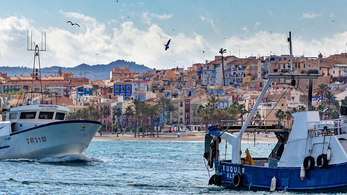 Capturas de bacoreta en la lonja del puerto de Torrevieja. | Activos