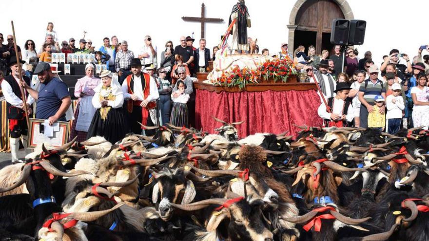 Buenavista del Norte celebra su tradición ganadera con la feria y la romería el domingo