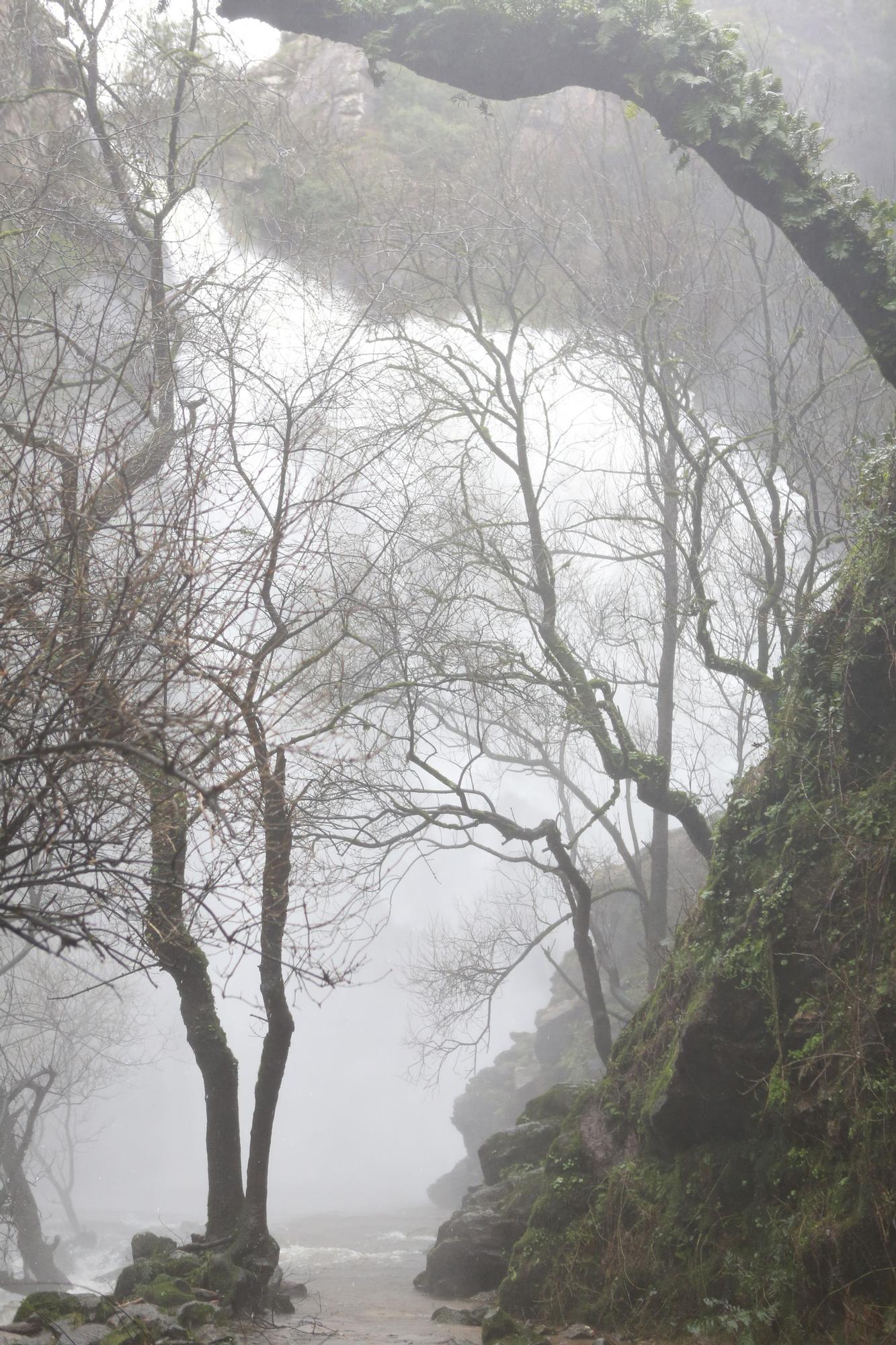 La Fervenza do Toxa aumenta su caudal tras la tormenta.