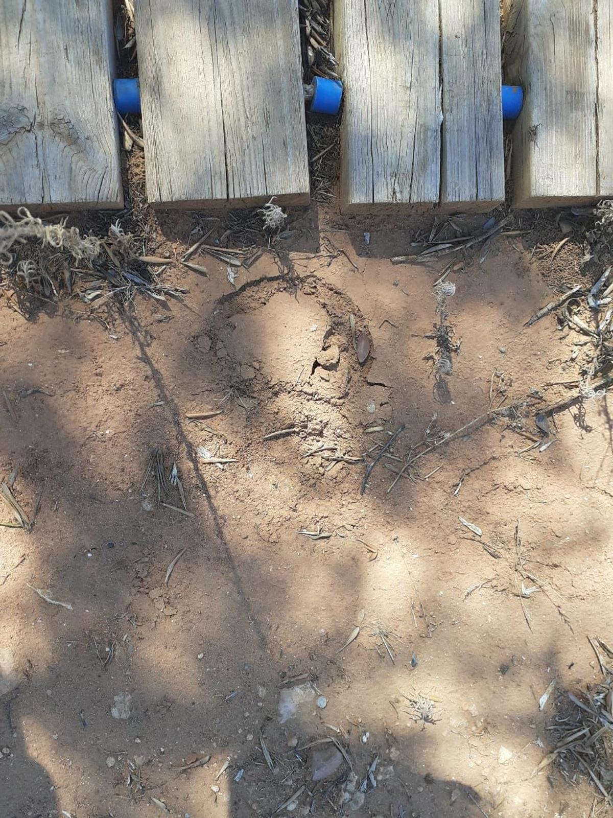 Huella del caballo en el interior del yacimiento