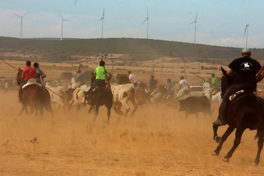 Fiestas en Zamora: Espantos en Carbajales