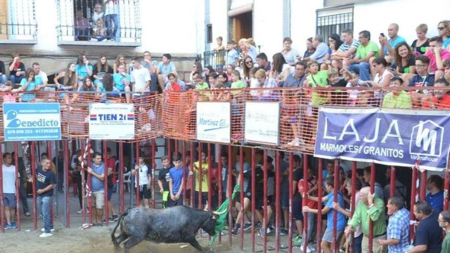 Altura retoma la subasta de la comisión de toros de 2025