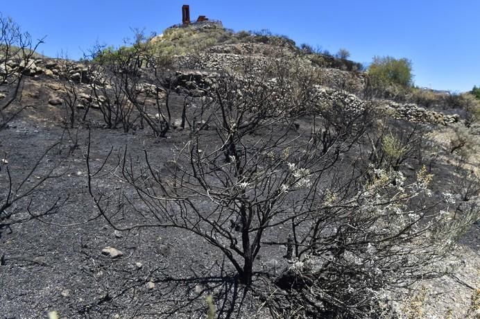 Vistas, hoy, de la zona del incendio de anoche ...