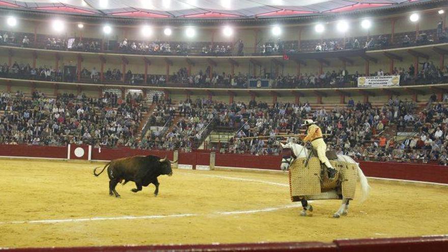 &#039;Artillero&#039;, de Celestino Cuadri, gana el concurso de ganaderías