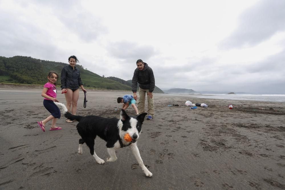 Los perros pueden acceder al playón de Bayas